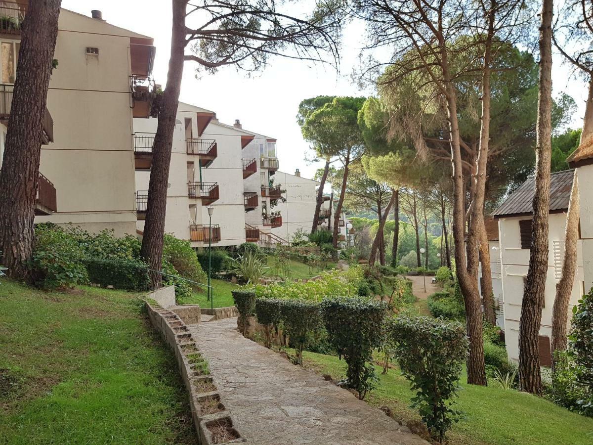 Retiro Chic Frente Al Lago - A 1 Hora De Madrid, Pantano De San Juan Сан-Мартин-де-Вальдейглесьяс Экстерьер фото